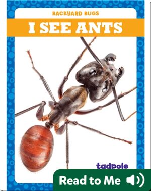 I See Ants
