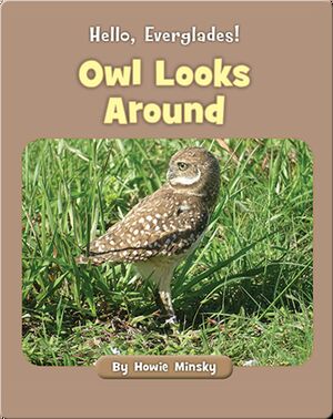 Hello, Everglades!: Owl Looks Around