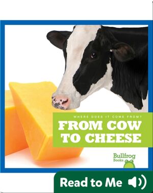 Where Does It Come From?: From Cow to Cheese