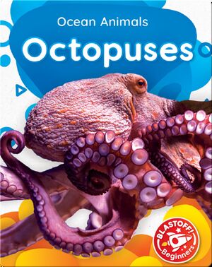 Ocean Animals: Octopuses
