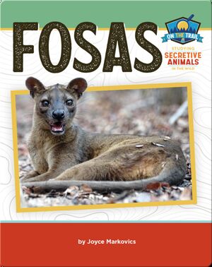 Study of Secretive Animals: Fosas