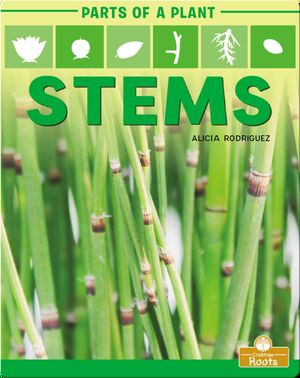 Parts of a Plant: Stems