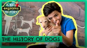 History of Dogs