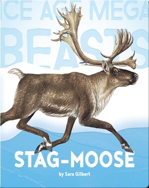Stag-moose