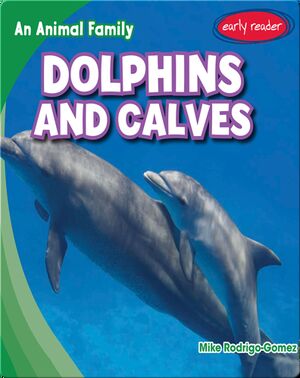 Dolphins and Calves