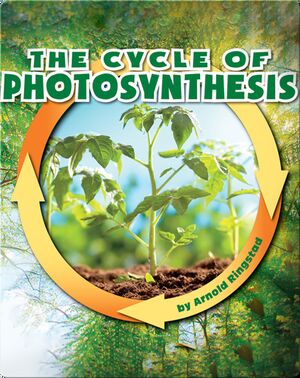 The Cycle of Photosynthesis