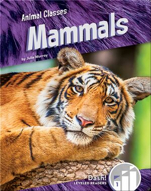 Animal Classes: Mammals