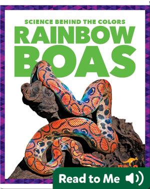 Science Behind the Colors: Rainbow Boas