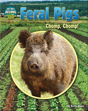 Feral Pigs: Chomp, Chomp!