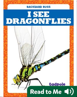I See Dragonflies