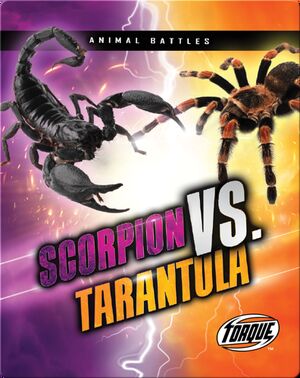 Animal Battles: Scorpion vs. Tarantula