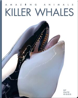 Amazing Animals: Killer Whales