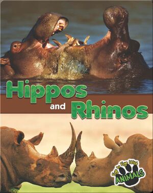 Hippos and Rhinos