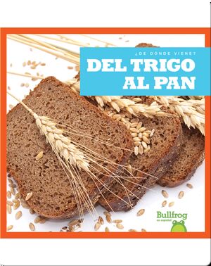 Del trigo al pan (From Wheat to Bread)