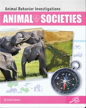 Animal Behavior Investigations: Animal Societies