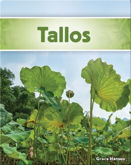 Tallos Book by Grace Hansen | Epic