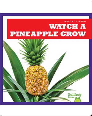 Watch a Pineapple Grow