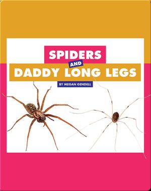 Comparing Animal Differences: Spiders and Daddy Long Legs