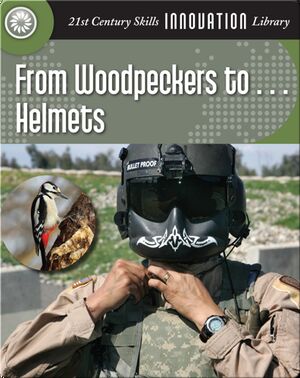 From Woodpeckers to... Helmets