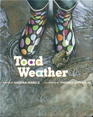 Toad Weather