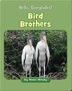 Hello, Everglades!: Bird Brothers