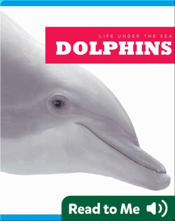 Dolphins
