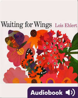 Waiting for Wings