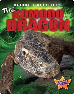 The Komodo Dragon