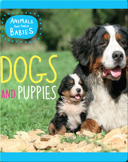 Dogs and Puppies