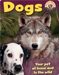 Dogs