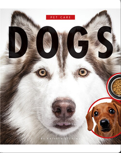 Dogs