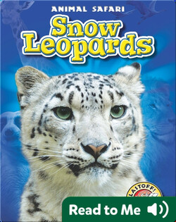 Snow Leopards