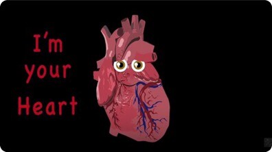 The Human Body for Kids / Heart Song
