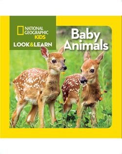 National Geographic Kids Look and Learn: Baby Animals