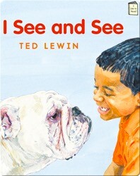 I See and See