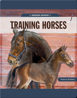 Training Horses