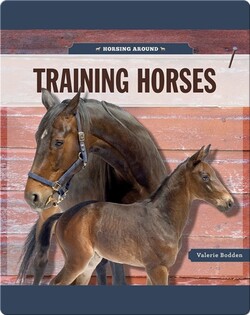 Training Horses