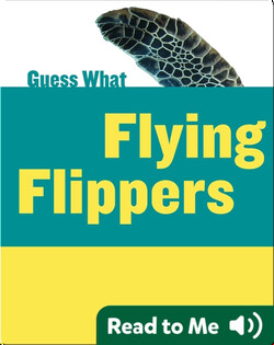 Flying Flippers