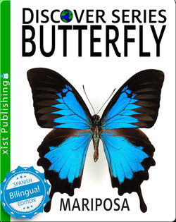 Butterfly / Mariposa