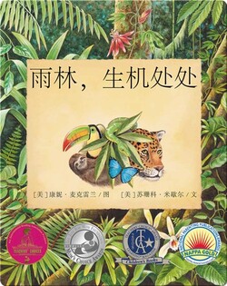雨林，生机处处