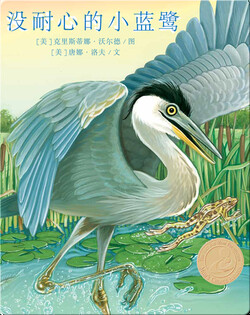 没耐心的小蓝鹭