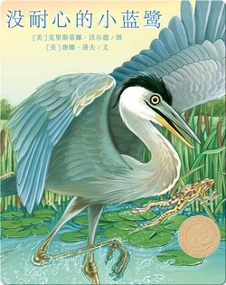 没耐心的小蓝鹭