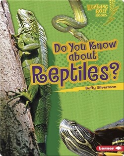 Do You Know about Reptiles?