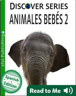 Animales Bebés 2