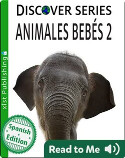 Animales Bebés 2