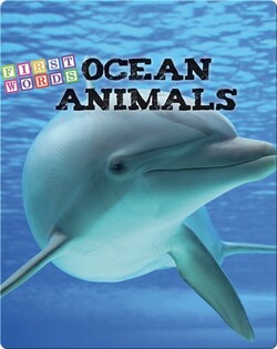 Ocean Animals