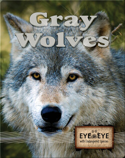 Gray Wolves