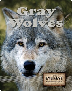 Gray Wolves
