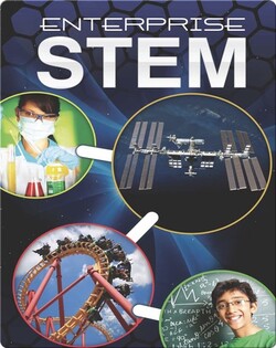 Enterprise Stem