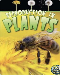 Reproduction in Plants